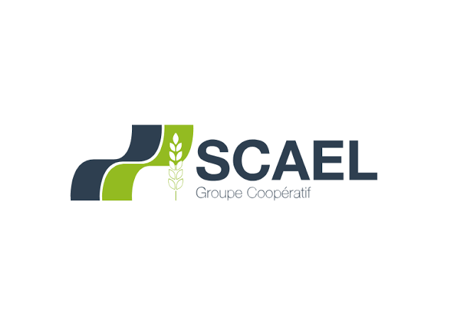 SCAEL