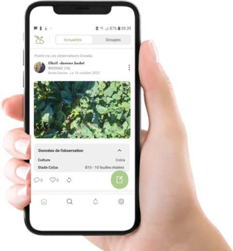 Field observation entry with photo and data in the Landfiles mobile app