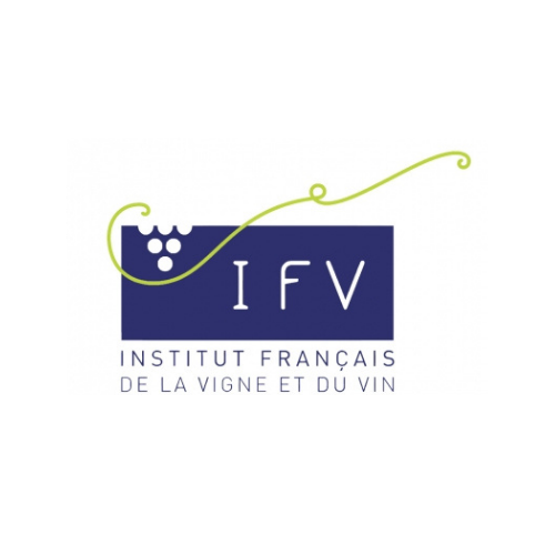 Logo IFV