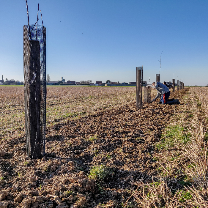 Photo module plantation Landfiles