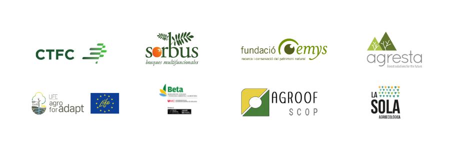 Marcas transition